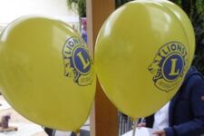 Logo für Lions Club Dachstein Welterbe Logo für Lions Club Dachstein Welterbe