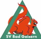 Logo für SV Kieninger-Bau Bad Goisern Logo für SV Kieninger-Bau Bad Goisern