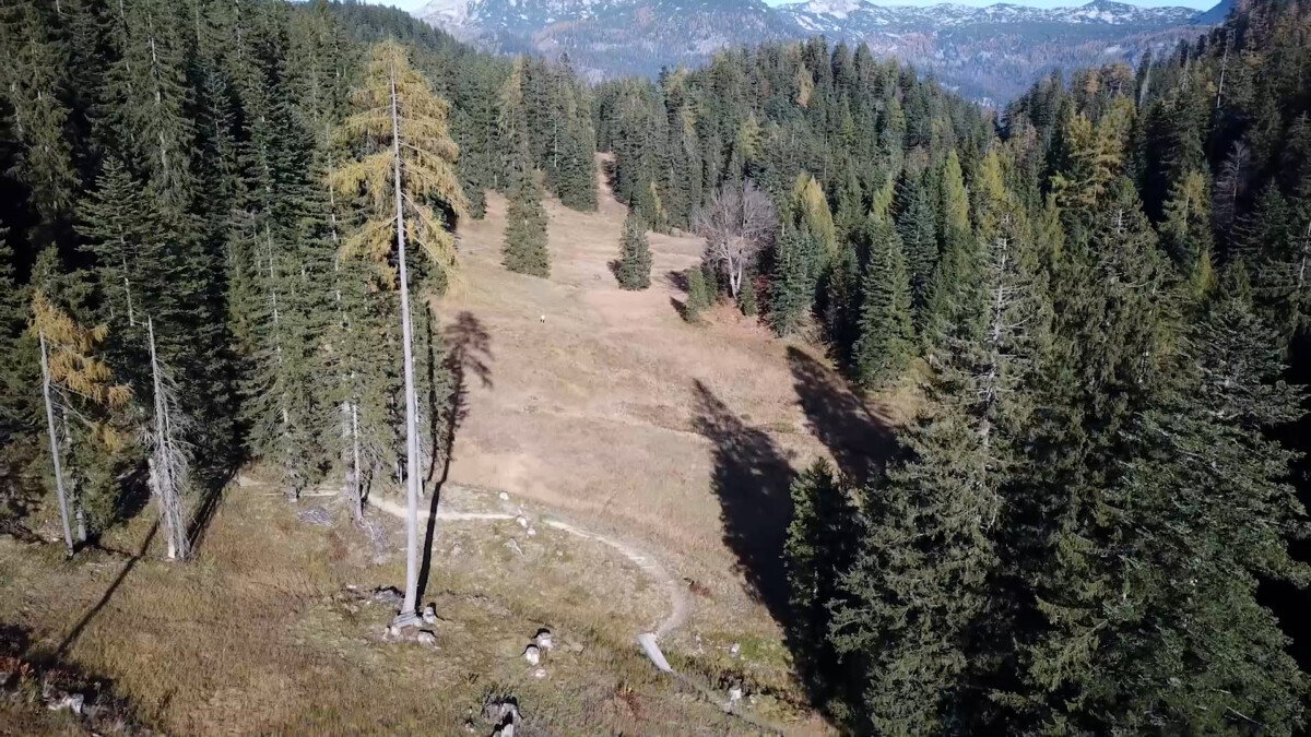 Pitzingmoos Naturschutzgebiet