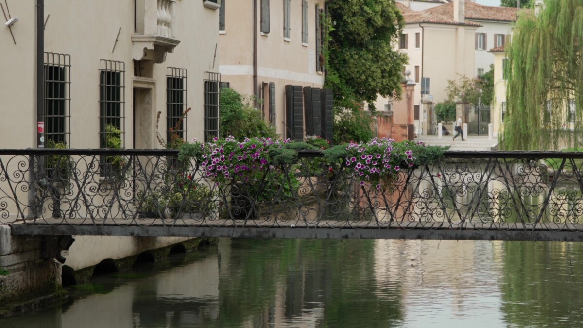 Treviso