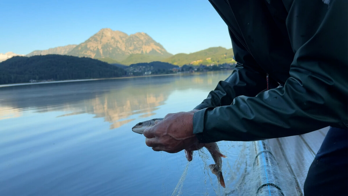 Die Fischerei am Altausseersee