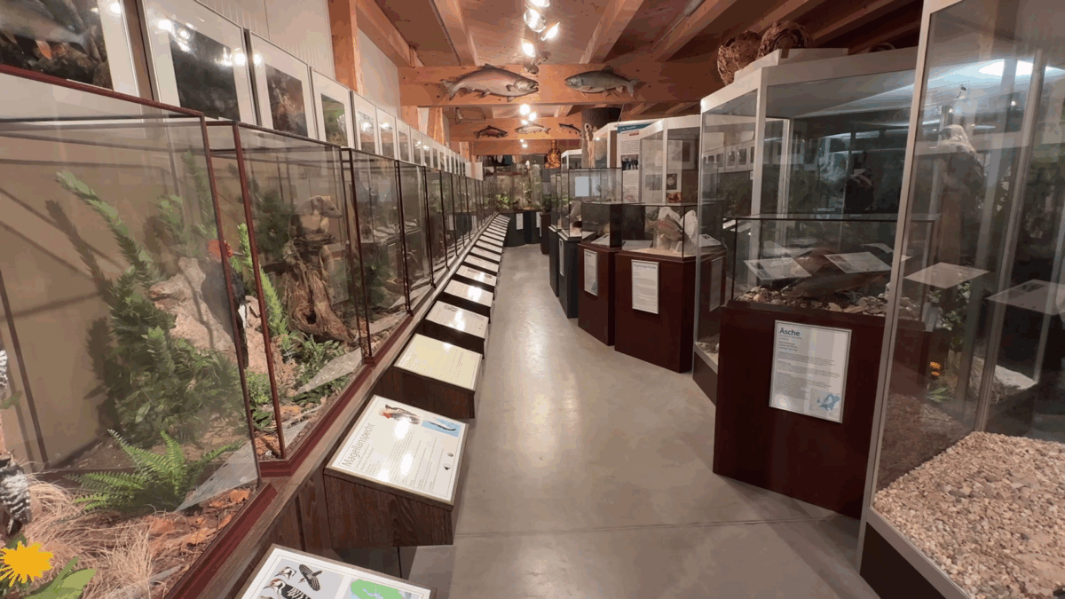 Naturwelten Naturmuseum Salzkammergut