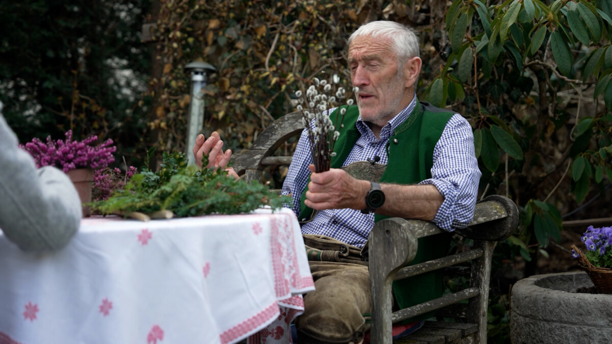 Palmbuschen Pflanzen im Garten