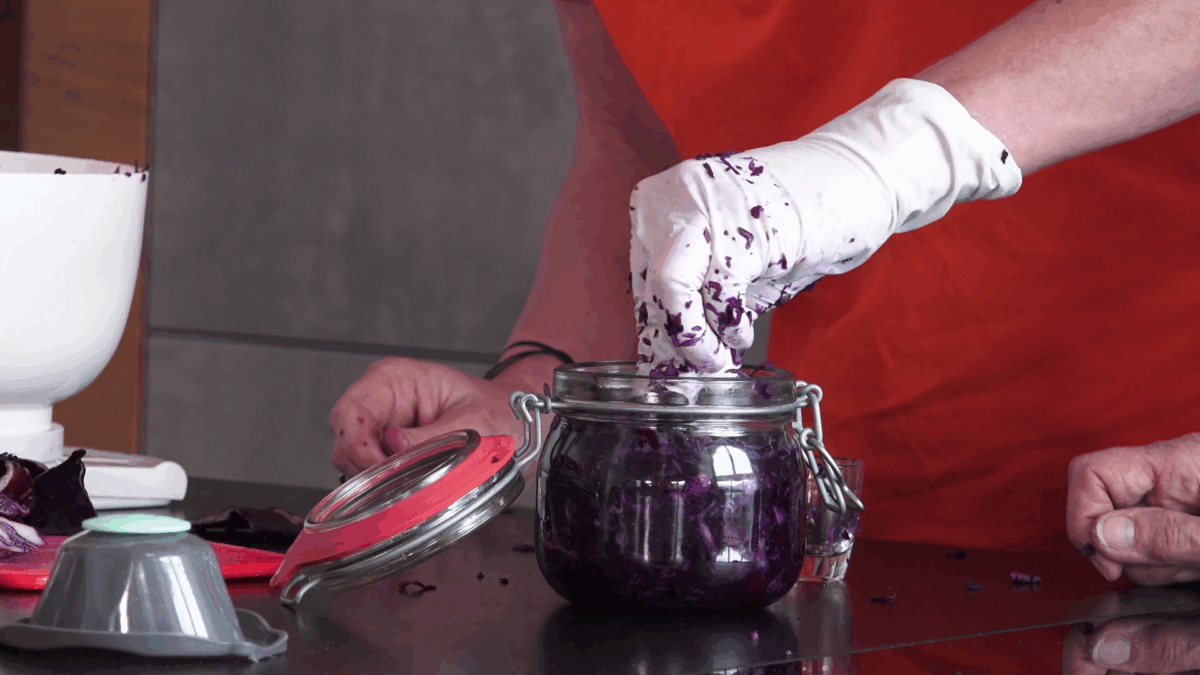 Renaissance der Fermentierung