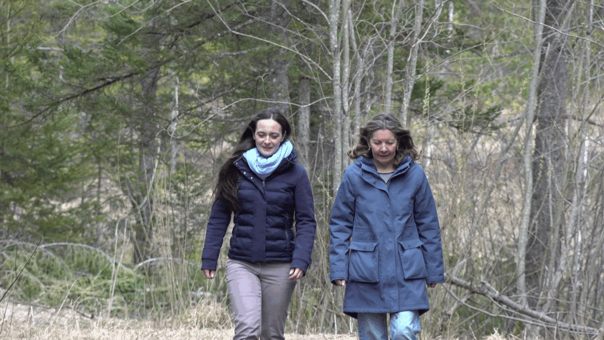 Waldbaden und Glück