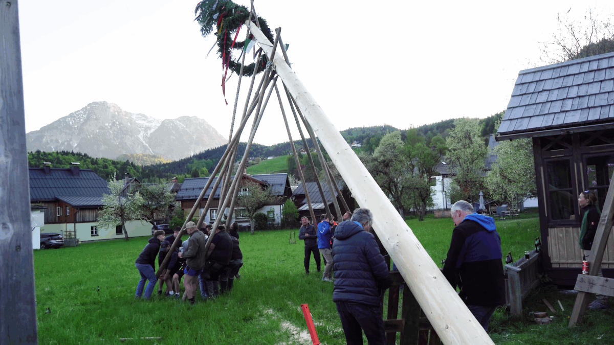 Maibaum aufstellen